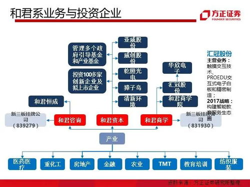 九大系资本并购模式解析 完整版