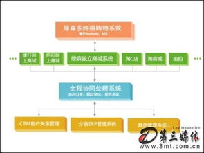 绿森数码 b2c电商黑马 绿森数码的发展盈利之道