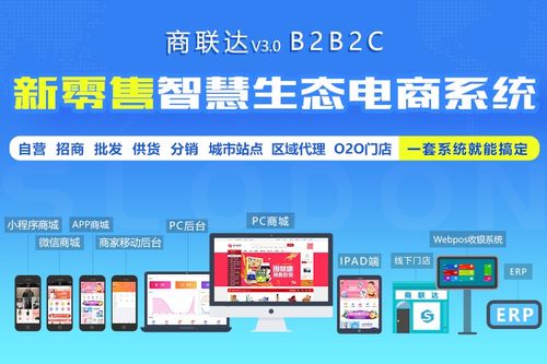如何选择适合的国内商城系统源码与ERP系统开发方案